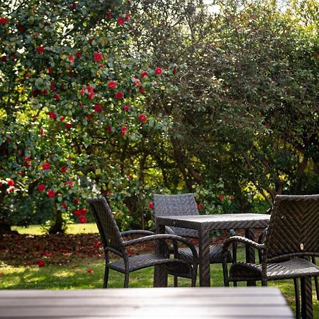 Copthorne Effingham Gatwick Hotel Eksteriør bilde